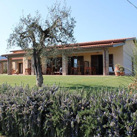 Agriturismo Il Vecchio Mandorlo Castiglione della Pescaia Bagian luar foto