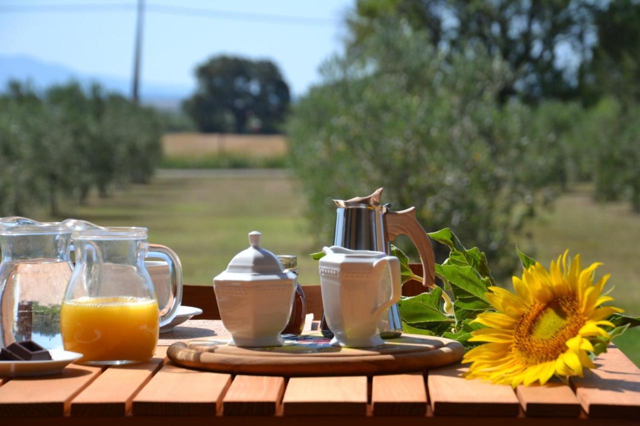 Agriturismo Il Vecchio Mandorlo Castiglione della Pescaia Bagian luar foto