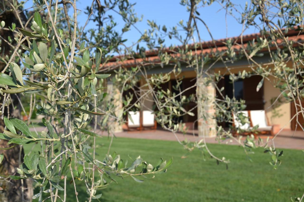 Agriturismo Il Vecchio Mandorlo Castiglione della Pescaia Bagian luar foto