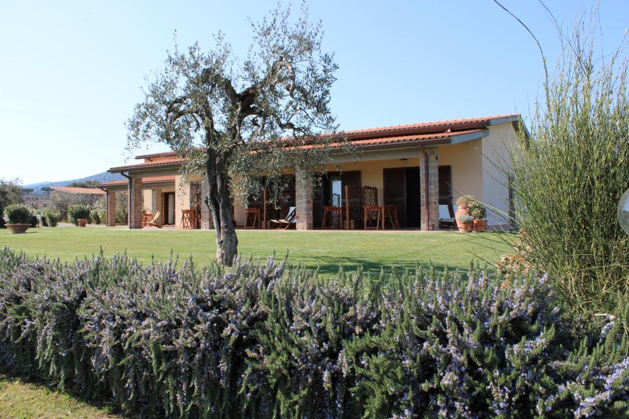 Agriturismo Il Vecchio Mandorlo Castiglione della Pescaia Bagian luar foto